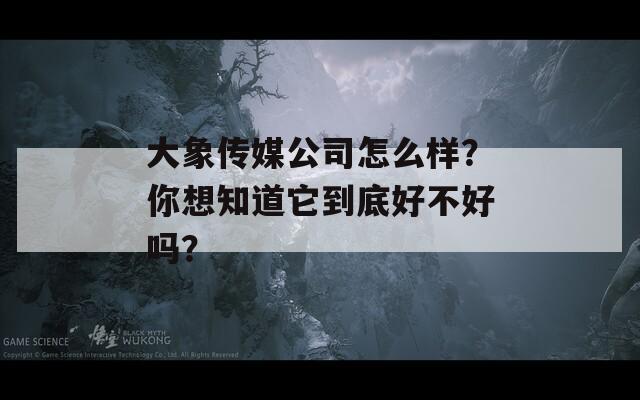 大象传媒公司怎么样？你想知道它到底好不好吗？