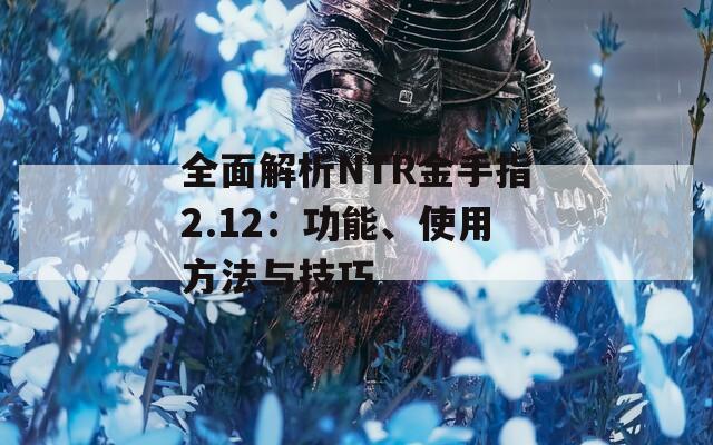全面解析NTR金手指2.12：功能、使用方法与技巧