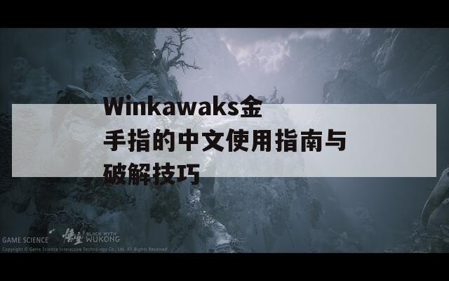 Winkawaks金手指的中文使用指南与破解技巧