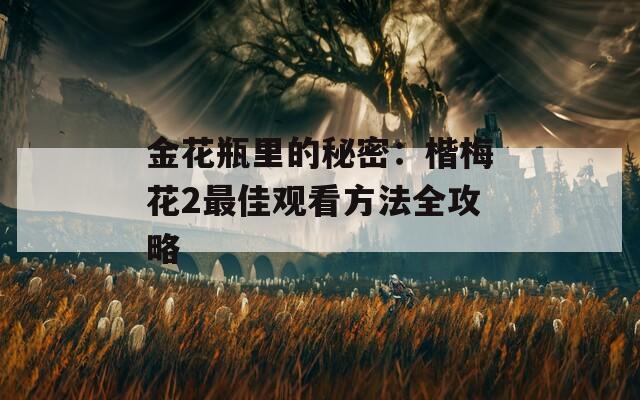 金花瓶里的秘密：楷梅花2最佳观看方法全攻略