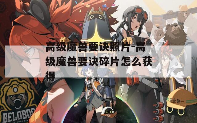 高级魔兽要诀照片-高级魔兽要诀碎片怎么获得