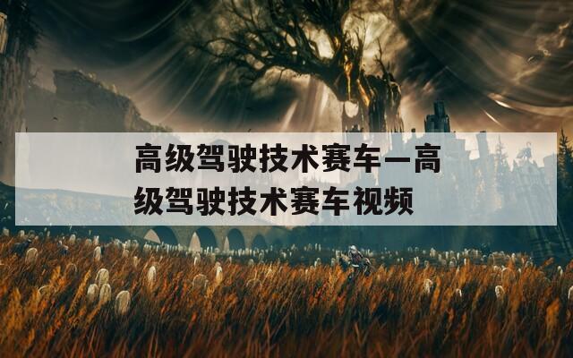 高级驾驶技术赛车—高级驾驶技术赛车视频