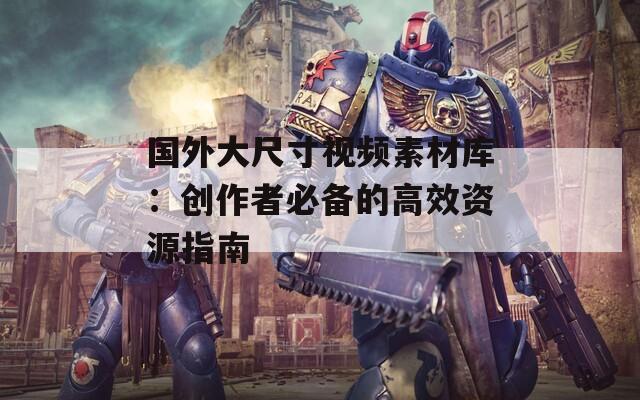 国外大尺寸视频素材库：创作者必备的高效资源指南