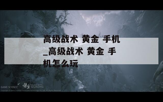 高级战术 黄金 手机_高级战术 黄金 手机怎么玩