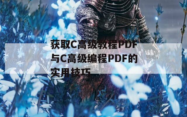 获取C高级教程PDF与C高级编程PDF的实用技巧
