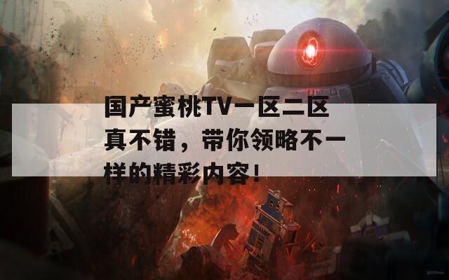 国产蜜桃TV一区二区真不错，带你领略不一样的精彩内容！