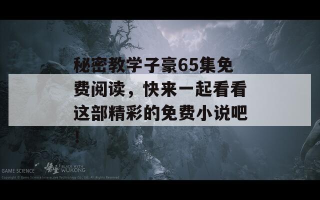 秘密教学子豪65集免费阅读，快来一起看看这部精彩的免费小说吧！