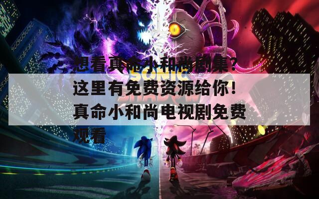 想看真命小和尚剧集？这里有免费资源给你！真命小和尚电视剧免费观看