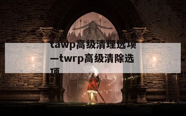 tawp高级清理选项—twrp高级清除选项