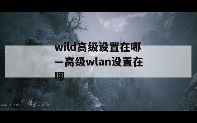 wild高级设置在哪—高级wlan设置在哪